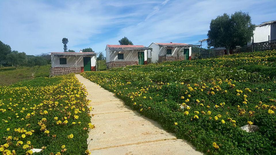 Ferma Jebala Ecolodge Kitane Eksteriør billede
